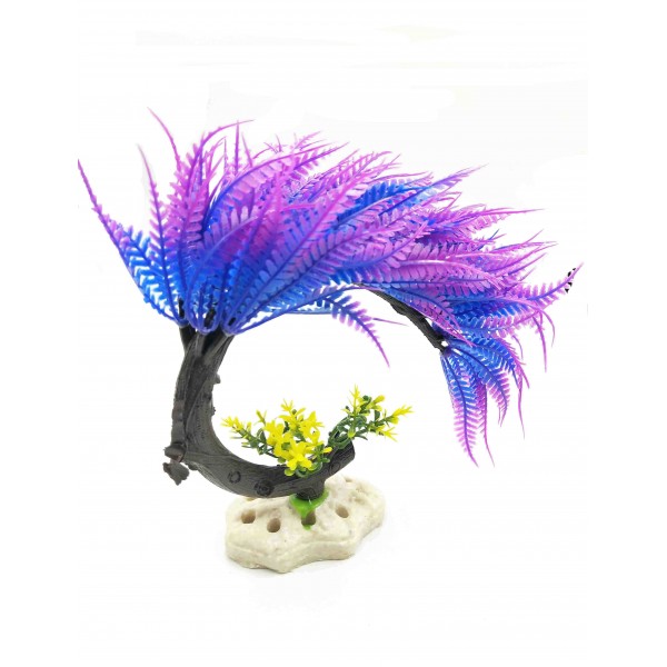 ΔΙΑΚΟΣΜΗΤΙΚΟ ΦΥΤΟ ΕΝΥΔΡΕΙΟΥ